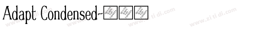 Adapt Condensed字体转换